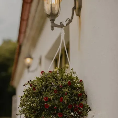 Puhkemaja Ja Glaemping Farm stay Torma