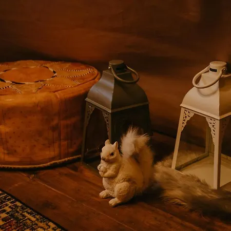 Puhkemaja Ja Glaemping Torma