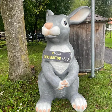 Puhkemaja Ja Glaemping