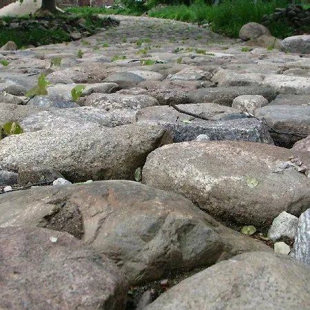 Puhkemaja Ja Glaemping