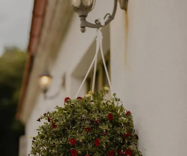 Puhkemaja Ja Glaemping Çiftlik konaklama Torma