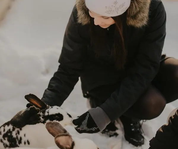 Puhkemaja Ja Glaemping