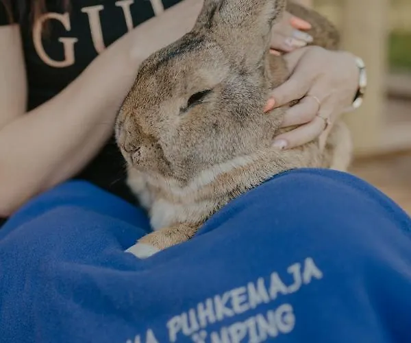 Puhkemaja Ja Glaemping *