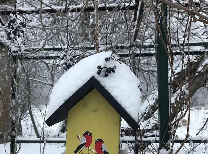 Puhkemaja Ja Glaemping *