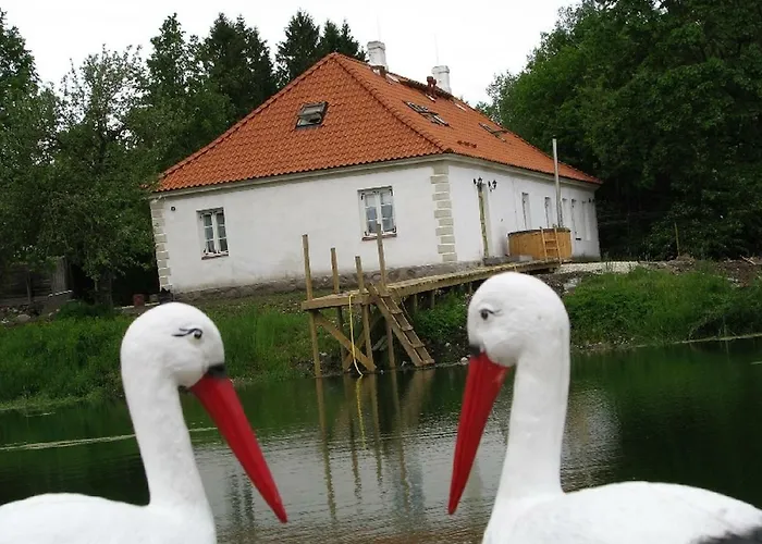 Puhkemaja Ja Glaemping Alloggio per agriturismo